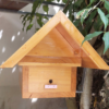 Tổ Giống Ong Dú Thùng Mái Thái