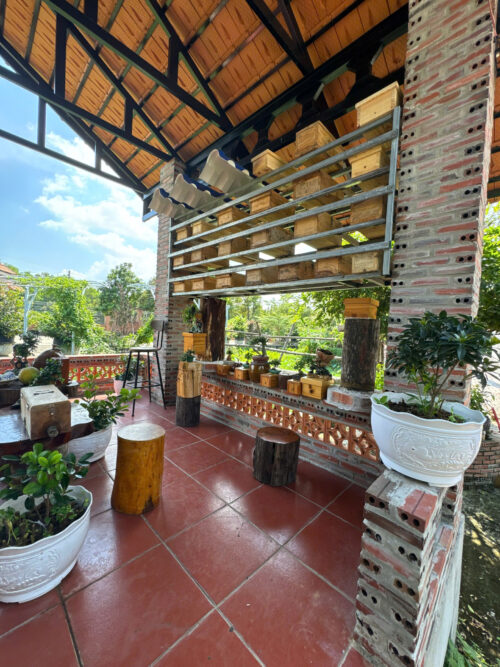 Tổ Giống Ong Dú Thùng Mái Thái